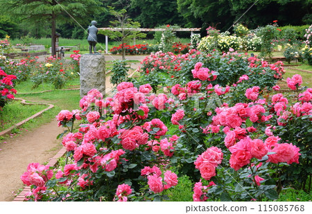 Ichikawa City Nature Observation Garden Rose Garden, Onocho, Ichikawa City, Chiba Prefecture Ichikawa City Nature Observation Garden Rose Garden, Onocho, Ichikawa City, Chiba Prefecture 115085768