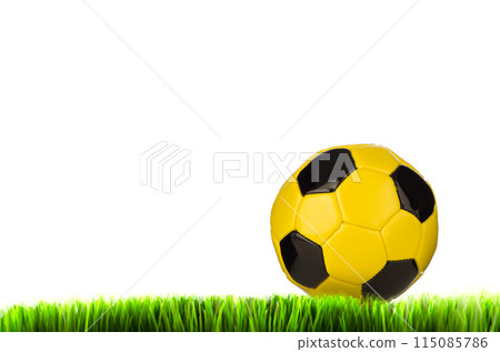 Yellow football on grass field 115085786