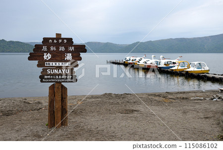 天鵝也能休息的屈斜路沙浴 天鵝也能休息的屈斜路沙浴 115086102