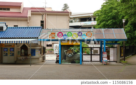 市川市動植物園 小熊貓 千葉縣市川市大町 115086156