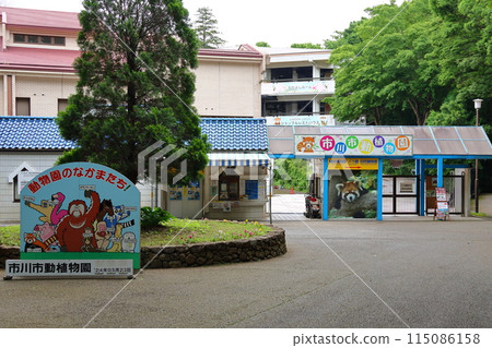 市川市動植物園 小熊貓 千葉縣市川市大町 市川市動植物園 小熊貓 千葉縣市川市大町 115086158