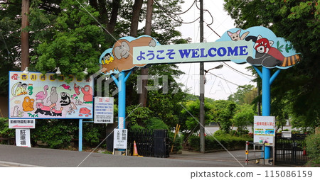 市川市動植物園 小熊貓 千葉縣市川市大町 115086159