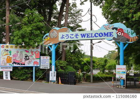 市川市動植物園 小熊貓 千葉縣市川市大町 115086160