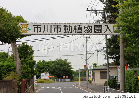Ichikawa City Zoological and Botanical Gardens, Red Panda, Omachi, Ichikawa City, Chiba Prefecture 115086161
