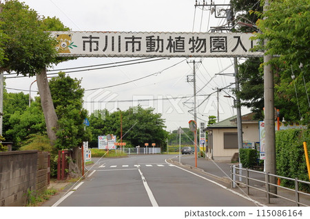 Ichikawa City Zoological and Botanical Gardens, Red Panda, Omachi, Ichikawa City, Chiba Prefecture 115086164