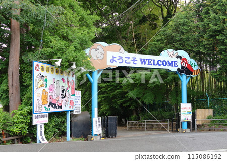 Ichikawa City Zoological and Botanical Gardens, Red Panda, Omachi, Ichikawa City, Chiba Prefecture 115086192