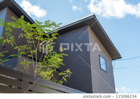 Fashionable appearance house 115086234