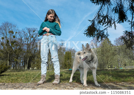 Teenage girl with dog in park. Portrait of beautiful teenage caucasian girl walking with her dog 115086351