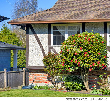 Corner of a house with decorative blossoming tree in front 115086484