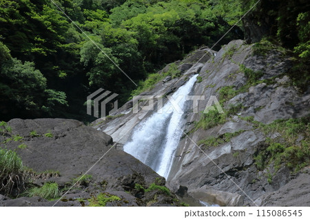 View of Todoroki Falls from below in early summer (Kami City, Kochi Prefecture) 115086545