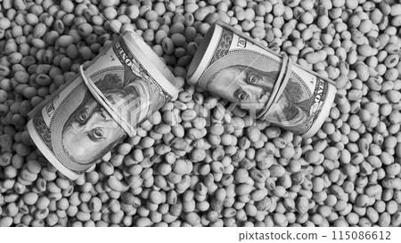 Dollars banknotes and coins and soy beans,oleaginous commoditi value concept. Dollars banknotes and coins and soy beans,oleaginous commoditi value concept. 115086612