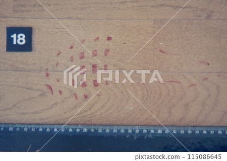 Crime scene footprints 115086645