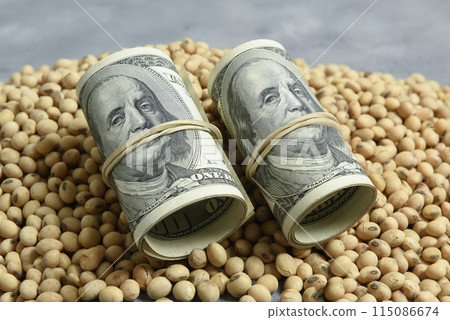 Dollars banknotes and coins and soy beans,oleaginous commoditi value concept. Dollars banknotes and coins and soy beans,oleaginous commoditi value concept. 115086674