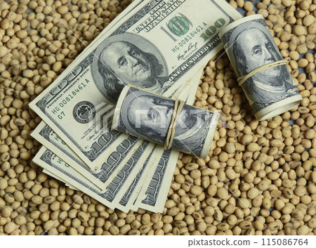 Dollars banknotes and coins and soy beans,oleaginous commoditi value concept. Dollars banknotes and coins and soy beans,oleaginous commoditi value concept. 115086764