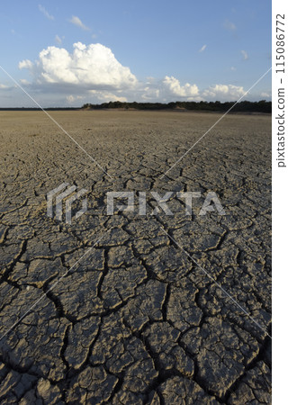 Broken dry soil in a Pampas lagoon, La Pampa province, Patagonia, Argentina. 115086772