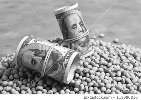 Dollars banknotes and coins and soy beans,oleaginous commoditi value concept. Dollars banknotes and coins and soy beans,oleaginous commoditi value concept. 115086810