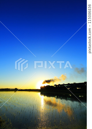 Rice fields and the SL Banetsu Monogatari at dusk 115086836