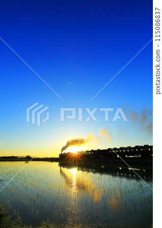 Rice fields and the SL Banetsu Monogatari at dusk Rice fields and the SL Banetsu Monogatari at dusk 115086837