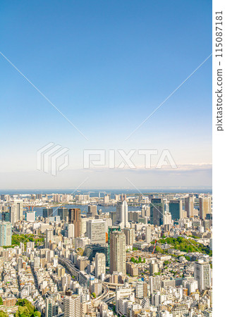 [東京] 陽光明媚的東京灣區 115087181