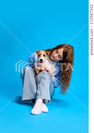 Portrait of young woman posing with her Jack Russel dog against vibrant blue studio background, enjoying time with pet. Portrait of young woman posing with her Jack Russel dog against vibrant blue studio background, enjoying time with pet. 115087202