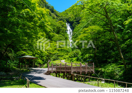 Fresh green of Kamiwa Falls 115087248