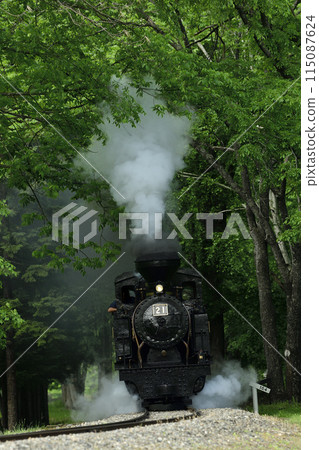 A small steam locomotive, Amemiya No. 21, on a preserved railway line running through the Maruseppu Forest 115087624