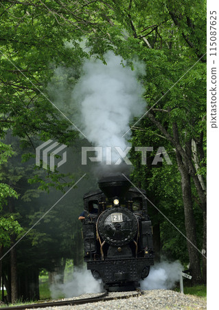 A small steam locomotive, Amemiya No. 21, on a preserved railway line running through the Maruseppu Forest 115087625