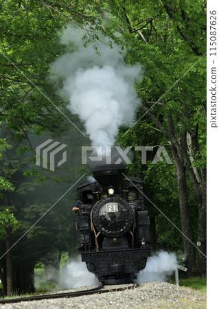 A small steam locomotive, Amemiya No. 21, on a preserved railway line running through the Maruseppu Forest 115087626