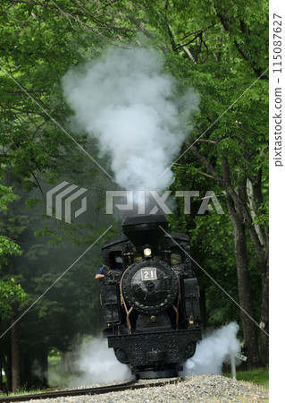 A small steam locomotive, Amemiya No. 21, on a preserved railway line running through the Maruseppu Forest 115087627