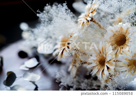 Stylish dried flower background material 115089058
