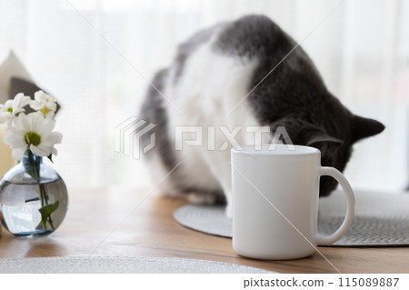 Cat sitting on the kitchen table near cup of tea with cats hair on the cup. Pets hair in the house. Cat sitting on the kitchen table near cup of tea with cats hair on the cup. Pets hair in the house. 115089887