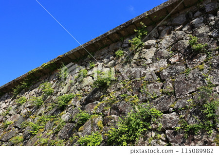 Hitoyoshi Castle Ruins: Musha-gaeshi 115089982