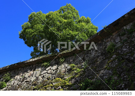 Hitoyoshi Castle Ruins: Musha-gaeshi 115089983