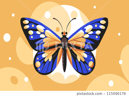 A blue and orange butterfly is on a yellow background 115090176