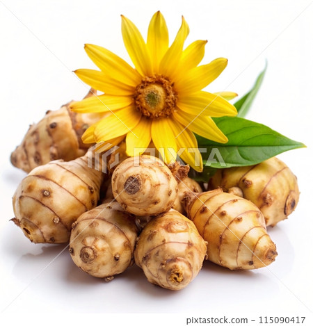 Jerusalem Artichoke (Sunchoke) isolated on white background. Ai generated 115090417