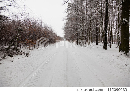 Snow alley road in winter forest. 115090683