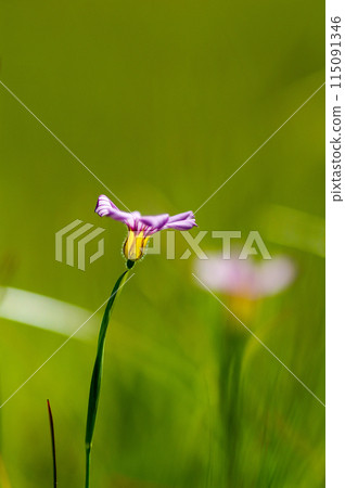 庭關所 庭關所 115091346