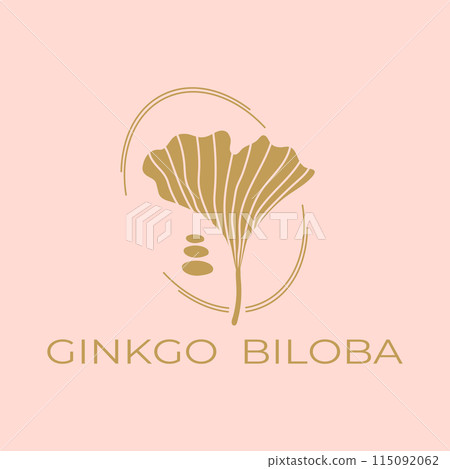 Ginkgo biloba leaf logo design. Vector illustration Ginkgo biloba leaf logo design. Vector illustration 115092062