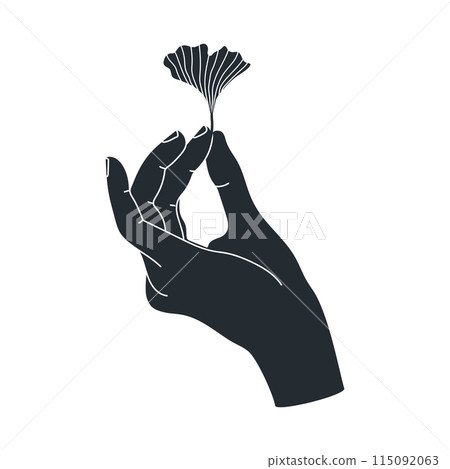 Silhouette of human hand holding ginkgo leaf. Vector illustration 115092063