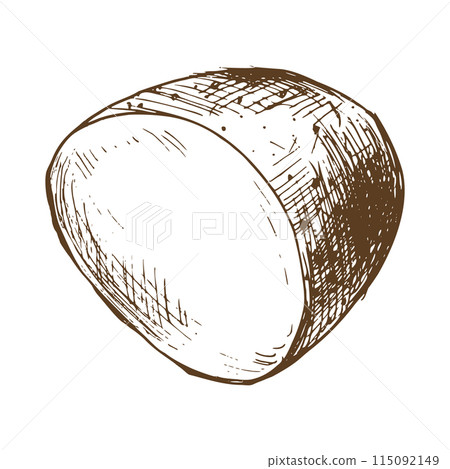 White potato in brown skin, cut off half of a tuber. Graphic illustration hand drawn in brown ink line art on the theme of harvest, cooking, food, vegetable. Element EPS vector White potato in brown skin, cut off half of a tuber. Graphic illustration hand drawn in brown ink line art on the theme of harvest, cooking, food, vegetable. Element EPS vector 115092149