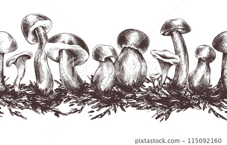 Forest edible mushrooms porchini, boletus, chanterelles with moss. Graphic illustration, hand drawn with brown ink, line art monochrome. Seamless board pattern on the theme of forest, harvest, nature. Forest edible mushrooms porchini, boletus, chanterelles with moss. Graphic illustration, hand drawn with brown ink, line art monochrome. Seamless board pattern on the theme of forest, harvest, nature. 115092160