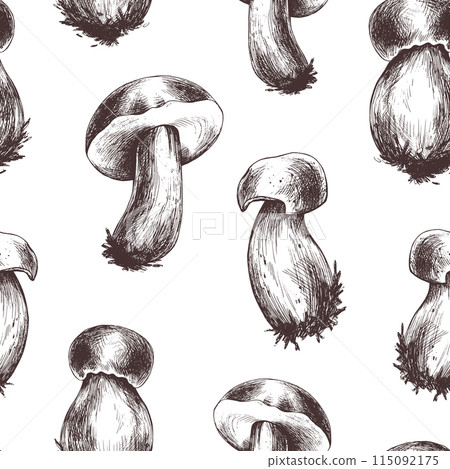 Forest edible boletus mushrooms with brown caps. Graphic illustration, hand drawn with brown ink, line art monochrome. Seamless pattern, simple on the theme of forest, harvest, nature. 115092175