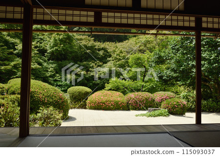 Shisen-do Jozanji Temple Garden Shisen-do Jozanji Temple Garden 115093037