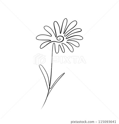 One continuous line drawing. Printable decorative poster common daisy flower concept chamomile 115093641