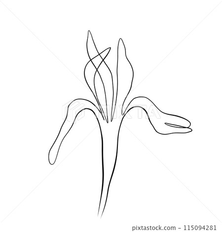 Continuous line drawing. line art of iris flower Continuous line drawing. Vector 115094281