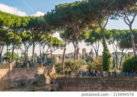 Ruins on the Palatine hill in Rome, Italy Ruins on the Palatine hill in Rome, Italy 115094578