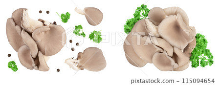 Oyster mushrooms isolated on white background with full depth of field. Top view. Flat lay Oyster mushrooms isolated on white background with full depth of field. Top view. Flat lay 115094654