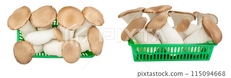 King Oyster mushroom or Eringi in plastic basket isolated on white background with clipping path. Top view. Flat lay King Oyster mushroom or Eringi in plastic basket isolated on white background with clipping path. Top view. Flat lay 115094668