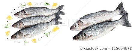 Sea bass fich isolated on white background with clipping path. Top view. Flat lay 115094678
