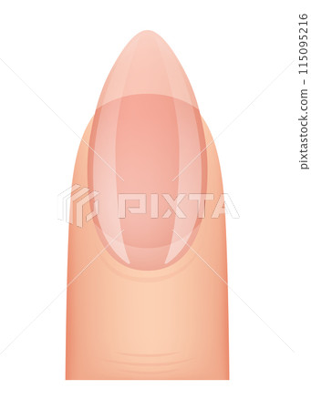 Nail shape manicure. Type of fingernail extension. Professional manicure template. Salon fashion type trend. Vector cartoon nail art on white background Nail shape manicure. Type of fingernail extension. Professional manicure template. Salon fashion type trend. Vector cartoon nail art on white background 115095216